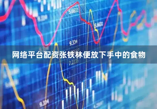 网络平台配资张铁林便放下手中的食物