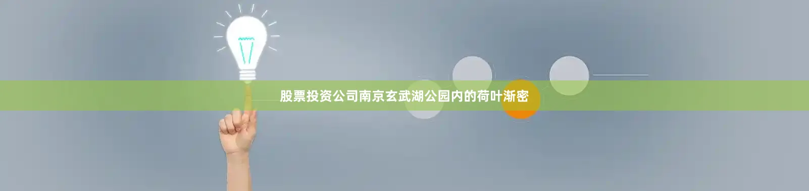 股票投资公司南京玄武湖公园内的荷叶渐密