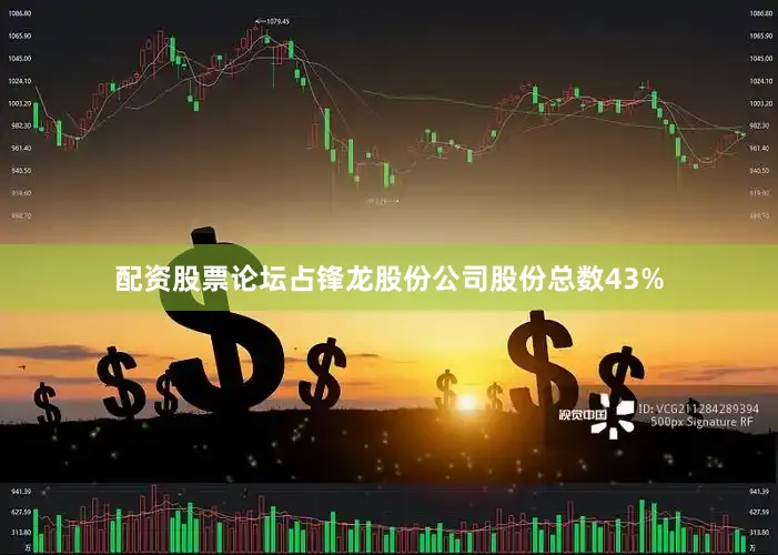 配资股票论坛占锋龙股份公司股份总数43%