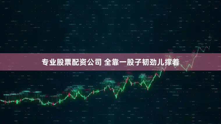 专业股票配资公司 全靠一股子韧劲儿撑着